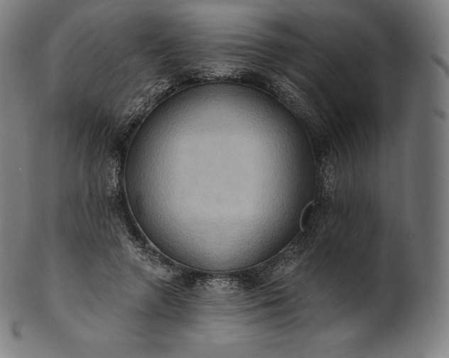 X0000101210546200807111035