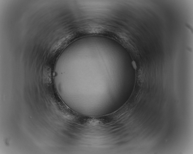 X0000101210547200807111035