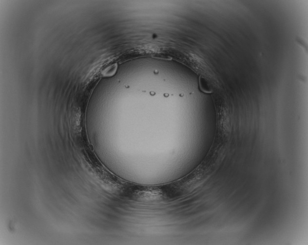 X0000101210548200807111035