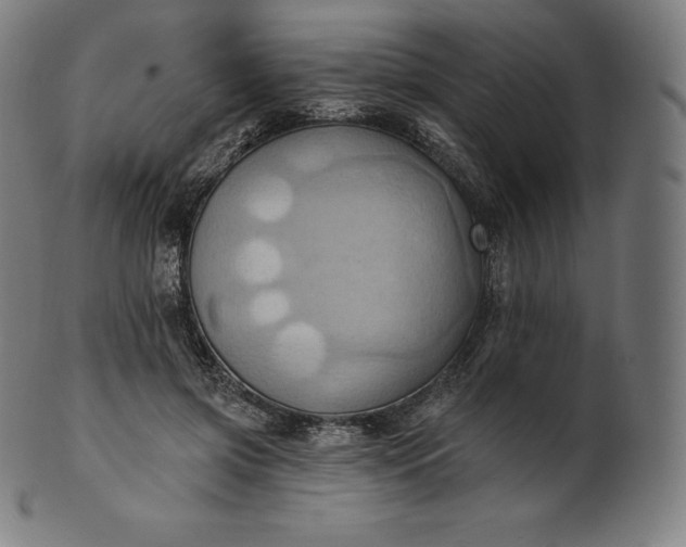 X0000101210549200807111035