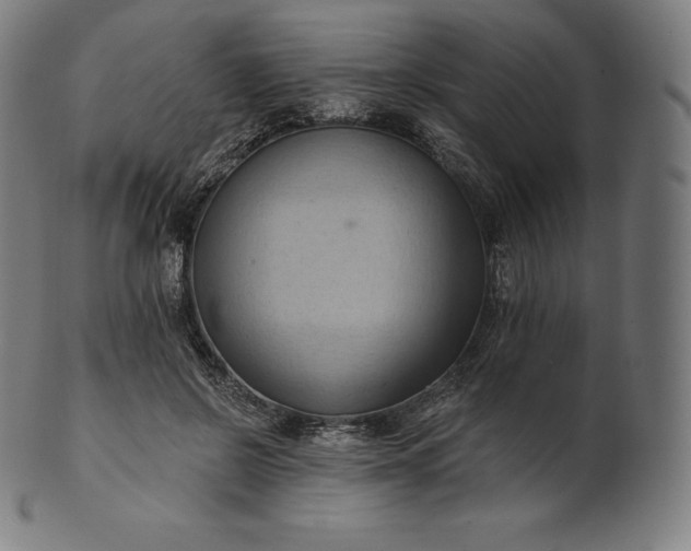 X0000101210550200807111036