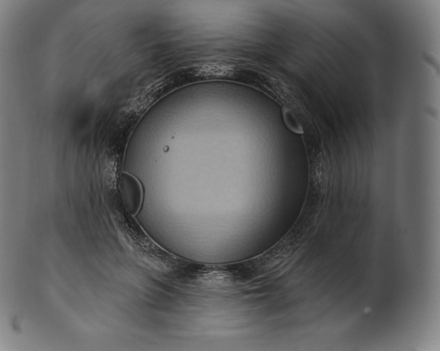 X0000101210551200807111036