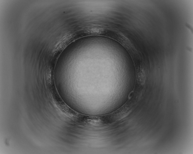 X0000101210552200807111036