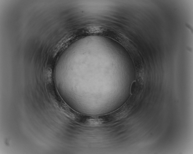 X0000101210556200807111036