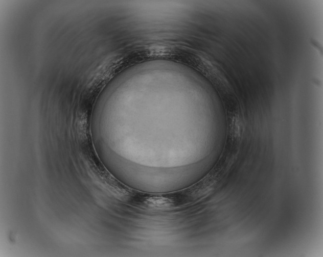 X0000101210557200807111036