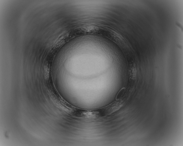 X0000101210558200807111036