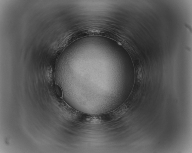 X0000101210559200807111036