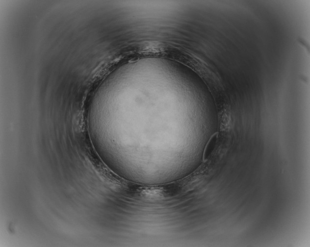 X0000101210560200807111036