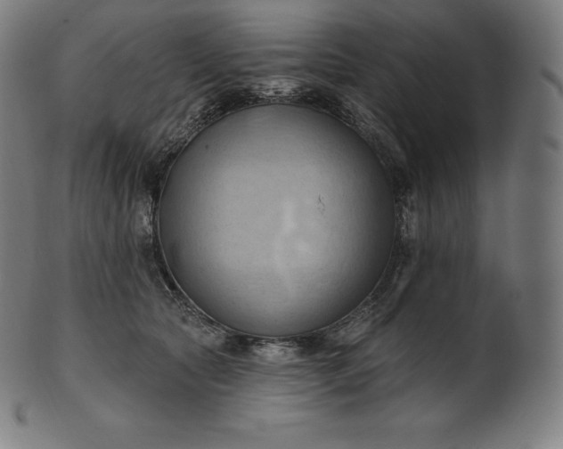 X0000101210561200807111036