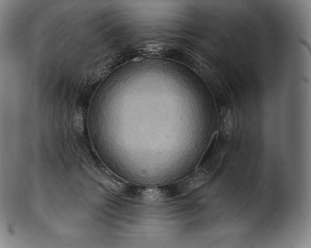 X0000101210562200807111036