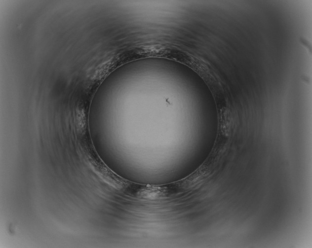 X0000101210563200807111036