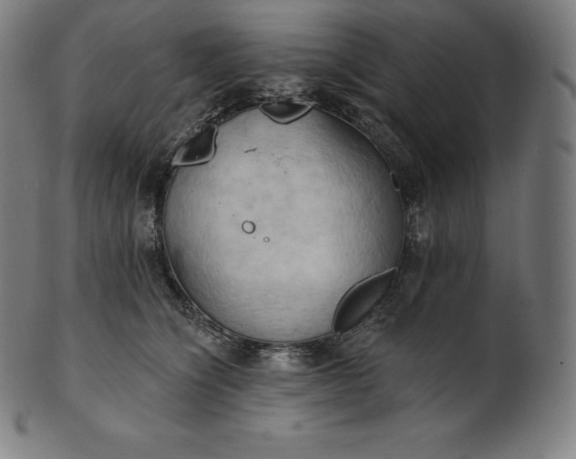 X0000101210564200807111036