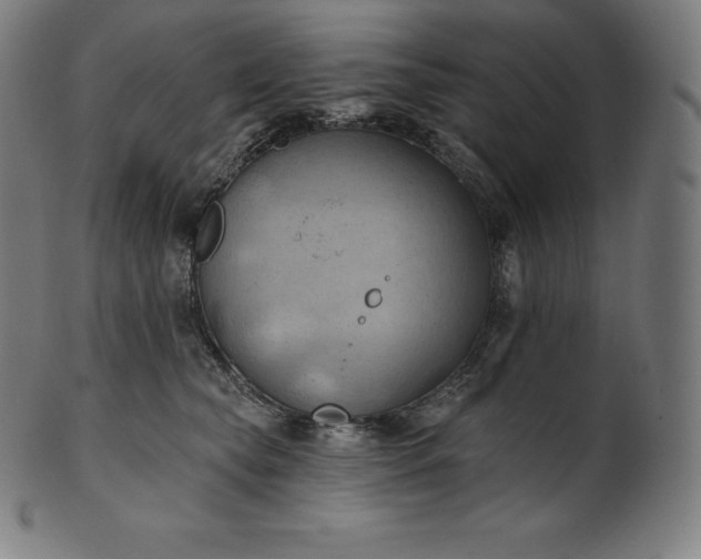 X0000101210565200807111036