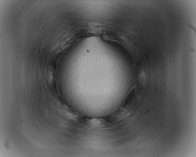 X0000101210566200807111036