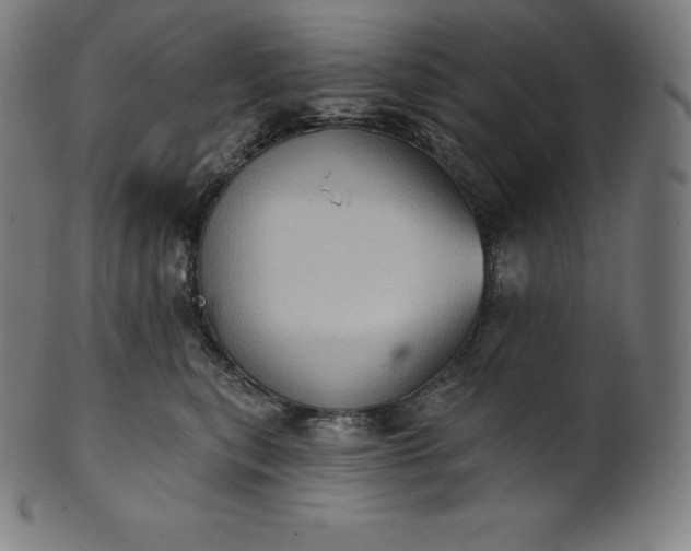 X0000101210567200807111036