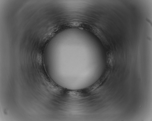 X0000101210568200807111036