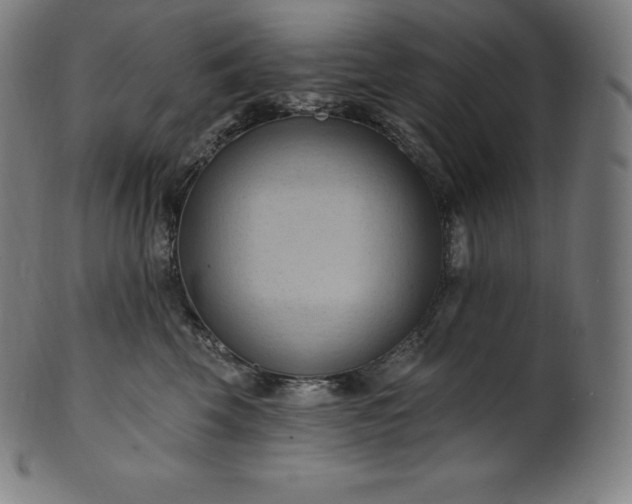 X0000101210569200807111036