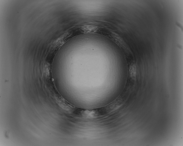 X0000101210570200807111036