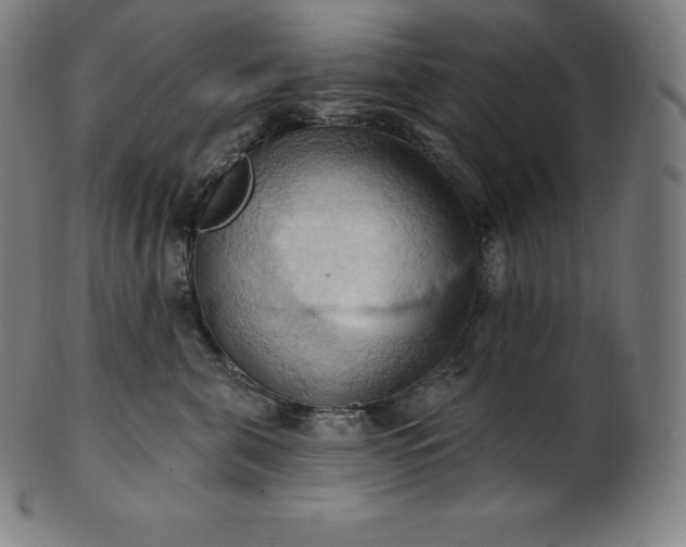 X0000101210571200807111036