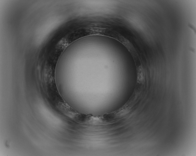 X0000101210573200807111036