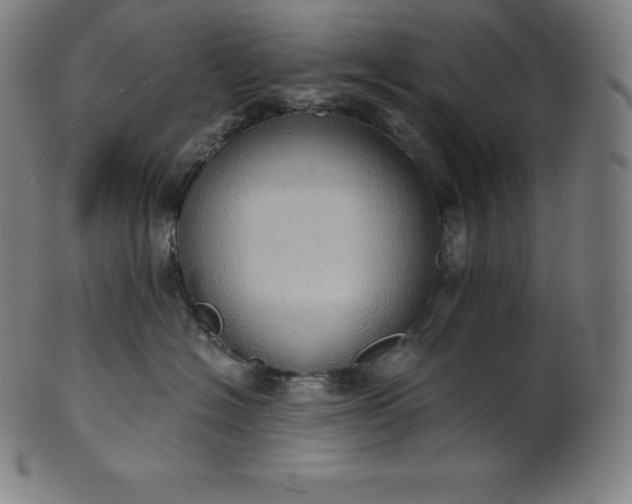 X0000101210574200807111036