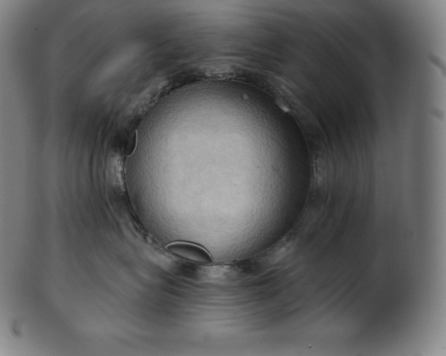 X0000101210575200807111036