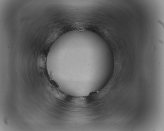 X0000101210576200807111036