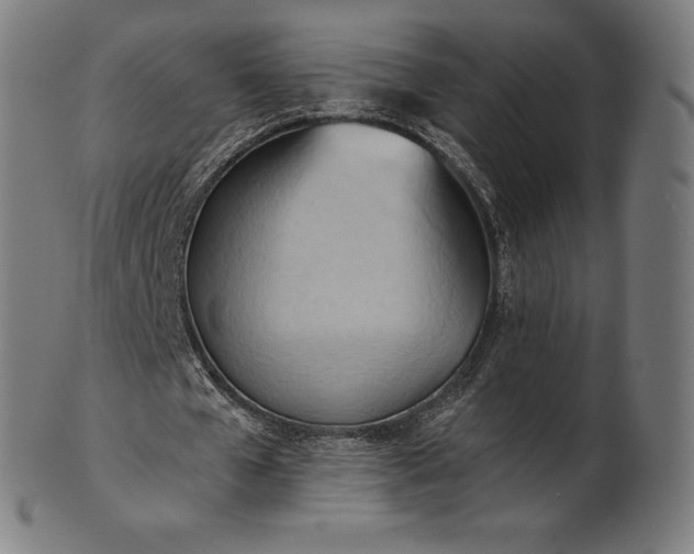 X0000101210577200807111035