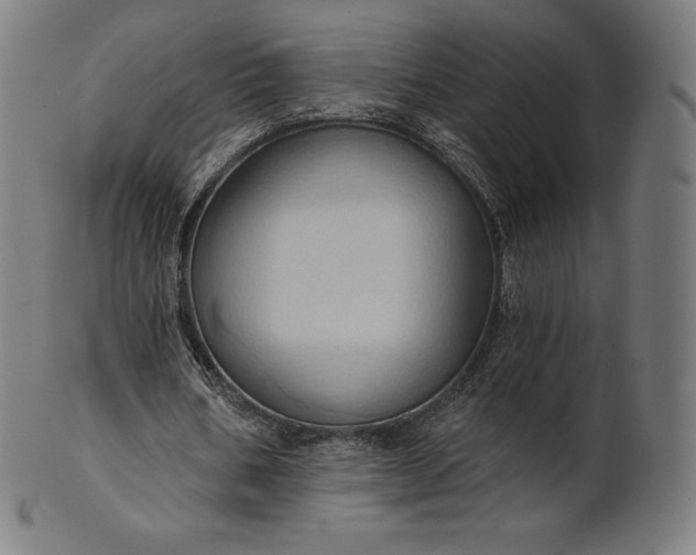 X0000101210578200807111035