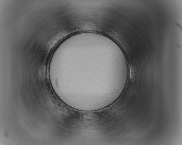 X0000101210579200807111035