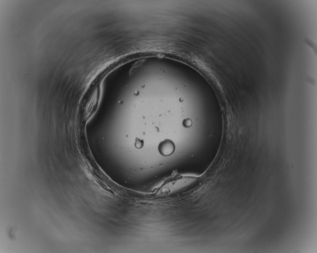 X0000101210580200807111035