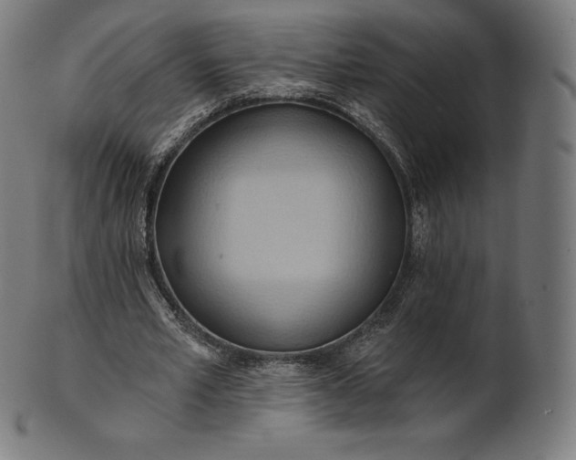 X0000101210581200807111035