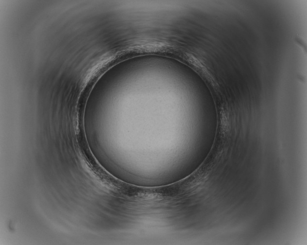 X0000101210582200807111035