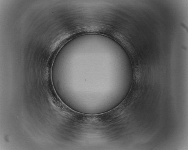 X0000101210583200807111035