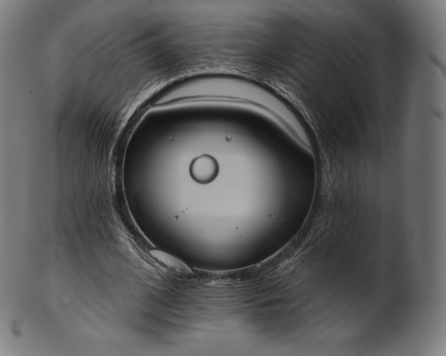 X0000101210584200807111035