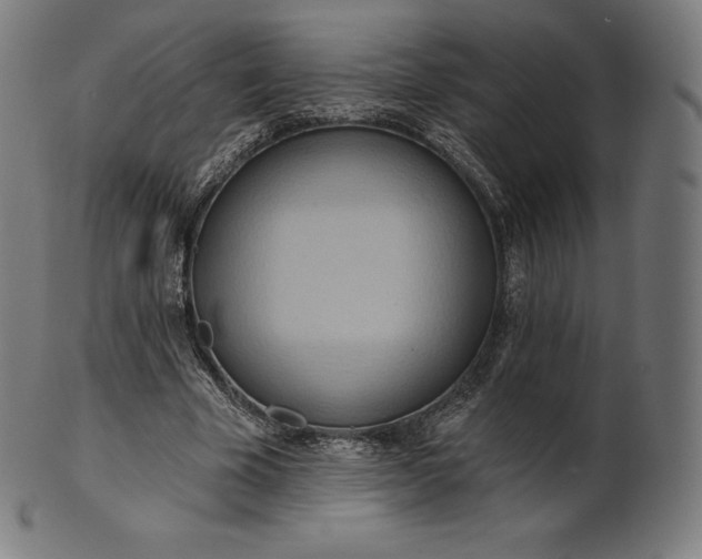 X0000101210585200807111035