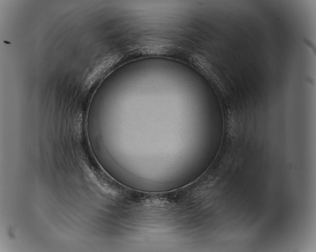 X0000101210586200807111035