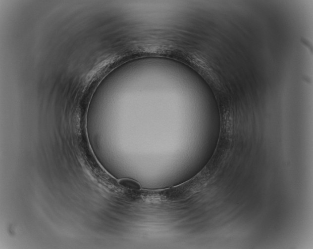 X0000101210587200807111035