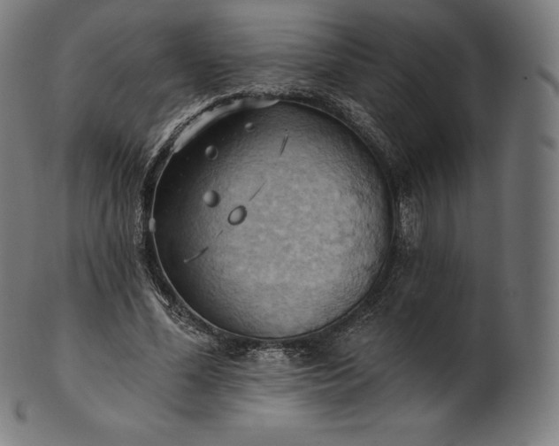 X0000101210588200807111035