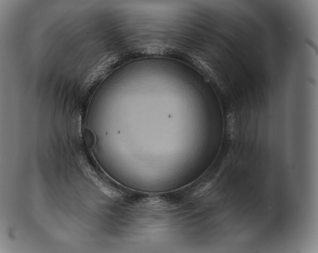 X0000101210589200807111035