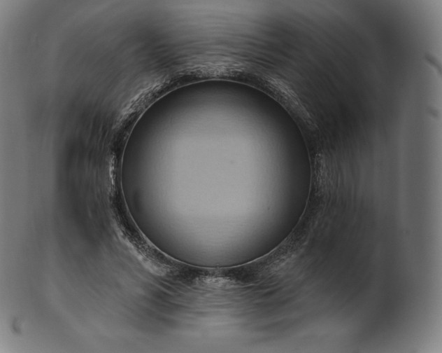 X0000101210590200807111035