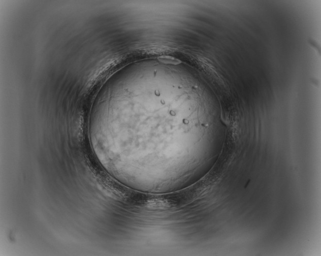 X0000101210591200807111035