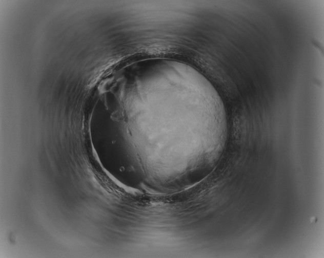 X0000101210592200807111035