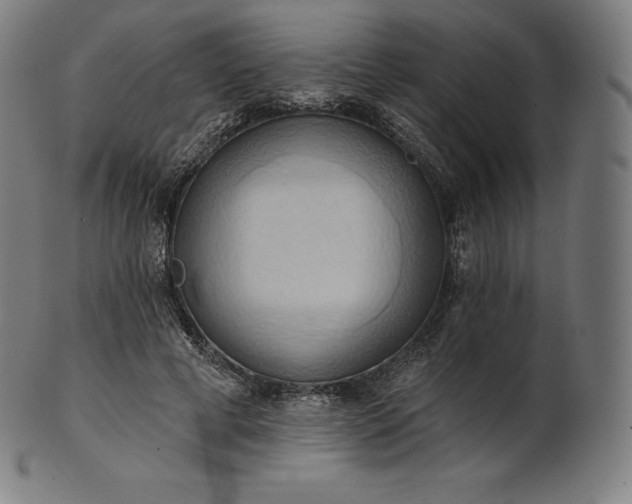 X0000101210593200807111035