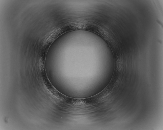 X0000101210594200807111035