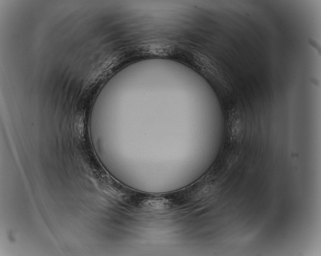 X0000101210595200807111035