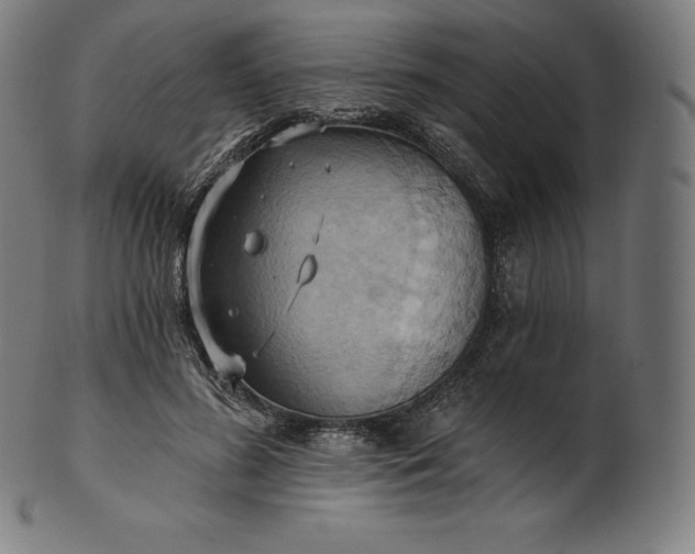 X0000101210596200807111035