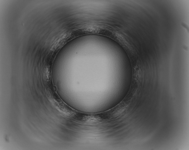 X0000101210597200807111035