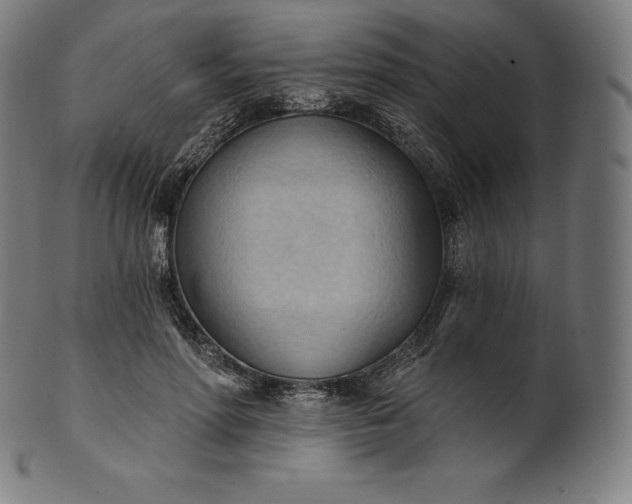 X0000101210598200807111035