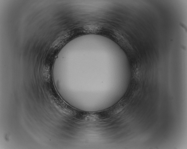 X0000101210599200807111035